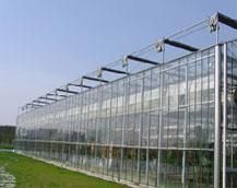 山東及濰坊地區(qū)連棟溫室大棚造價(jià)解析與農(nóng)副產(chǎn)品生產(chǎn)應(yīng)用